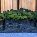 къща край реката - *
