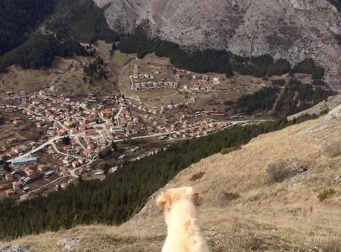 Casa vacanze къща край реката - *