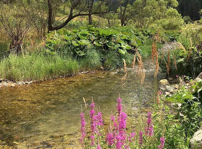 къща край реката - Trigrad