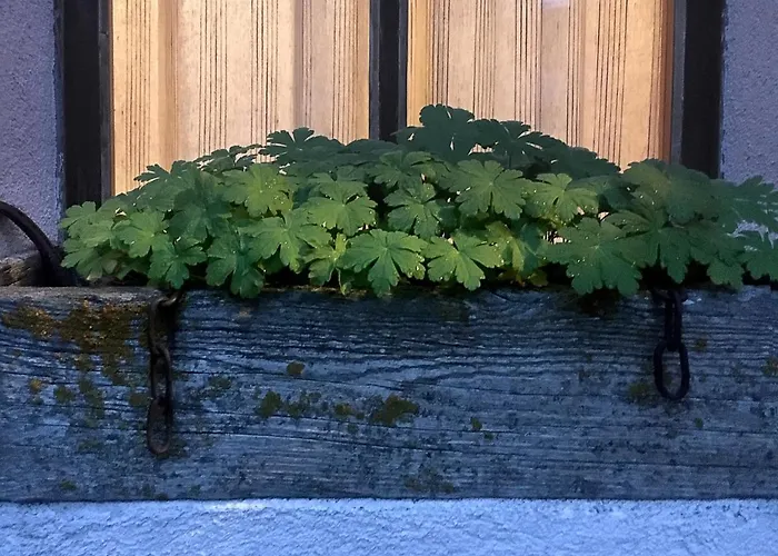 къща край реката - *